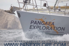 PanExplore ORGANIZATIONS (for web)_Page_8