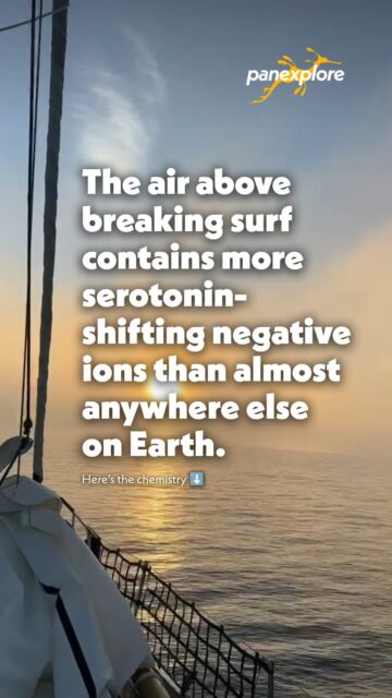 Ever wondered why you feel instant clarity out at sea? Breaking ocean waves release negative ions that elevate serotonin levels, reducing stress and boosting mood naturally. Beyond the science, it's pure freedom 🌊
Reset your mind on our next voyage—book your cabin at www.panexplore.com
#OceanTherapy #SailingAdventure #Panexplore #Exploration #Seas