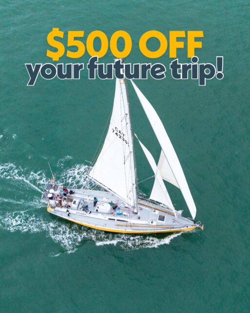 $500 OFF your next voyage — no deposit required if you book before Oct 31 at midnight.
Upcoming journeys with availability:
⛵️ St. Lucia • New Year’s Eve
⛵️ Grenada • Island Hop Expedition
Claim your bunk → before this treat becomes a trick. 🎃✨
Use Code: FREEDEPOSIT500 at checkout! 
#sailingholiday #sailorlife #adventureholiday #sailingadventure