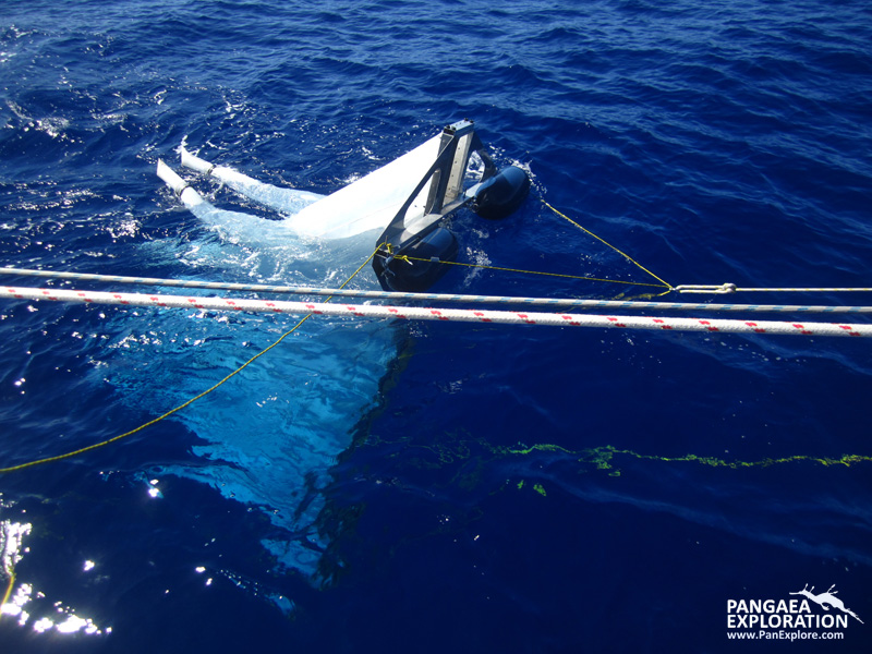 ocean gyre trawling plastic