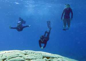 Woods Hole Oceanographic institute