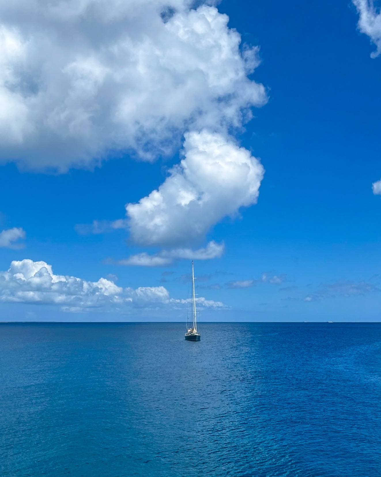 Just a drop in the ocean—but even the smallest ripple can stir the world. Set sail, stay humble, and embrace the infinite.
Sail the world with us 🔗 www.panexplore.com
#sailing #sailboat #horizon #adventuresailing