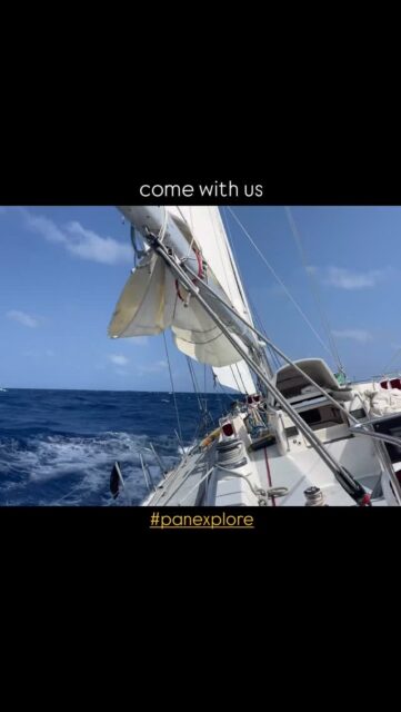This is your view when you say yes to adventure.
Come sail with us. | www.panexplore.com
No experience required.
#sailingadventure #travelcommunity #oceanadventure #adventureholiday #saillife