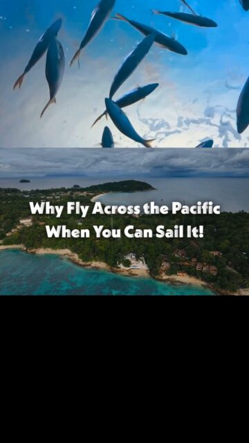 Most people experience the Pacific from 35,000 feet in the air.
But sailing across it changes your relationship with distance completely.
You notice the gradual shifts in weather, the wildlife around you, and the feeling of arriving somewhere slowly instead of instantly. Remote islands feel even more remote when you’ve crossed the ocean to reach them.
It takes longer, of course. But that’s kind of the point.
The Pacific was never meant to be rushed through.
#Panexplore #PacificOcean #OceanCrossing #SailingAdventure #AdventureTravel #RemoteIslands #LifeAtSea #ExploreMore