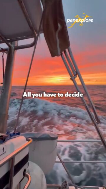 Time isn’t something to waste on the mundane—it’s meant for extraordinary discovery. Step aboard SV Sea Dragon and turn your moments into an unforgettable hands-on ocean adventure ⛵✨
Ready to make your time count? Explore upcoming expedition routes at www.panexplore.com
#SailingLife #OceanExpedition #Panexplore #Exploration #SVSeaDragon