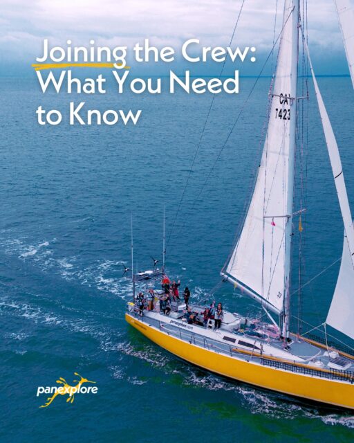 Joining the crew means becoming part of a working expedition team, not simply stepping aboard for a vacation. ⛵

Here’s what you can expect before and during your voyage aboard:

👉 Hands-on participation in sailing and daily vessel operations
👉 In-depth safety briefing and training time at sea
👉 Teamwork, watches, and shared responsibilities at sea
👉 Medical forms and crew documentation before departure
👉 Detailed welcome packs with itineraries and packing lists
👉 Limited storage space, soft duffel bags only
👉 Reduced connectivity while underway, with limited onboard wifi through Starlink
👉 A dry vessel policy while sailing - means no alcohol
👉 A true expedition experience focused on learning, adventure, and connection with nature

From sail handling and night watches to daily operations on deck, every crew member plays an active role in the voyage. The first days on board are focused on training, teamwork, and learning the systems of the vessel, giving everyone the confidence to participate fully, regardless of experience level.

Life aboard also comes with a shared responsibility to care for the boat, support one another, and adapt to the rhythm of expedition sailing. It’s a hands-on experience designed for those who want to challenge themselves, learn practical seamanship, and explore remote parts of the world in a meaningful way. 

#Panexplore #SailTheWorld #OffShoreLife #SailingInstagram #SailingTips #SailTrip #ExpeditionVehicle