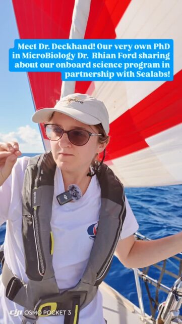 Sea Dragon is the official Science Support Vessel for @projectsealabs during the @arc_rally
Meet Dr Deckhand - our very own PhD Dr. Rhian Ford sharing about what this entails onboard @rhimarie
#arcrally #arc2025 #oceancrossing