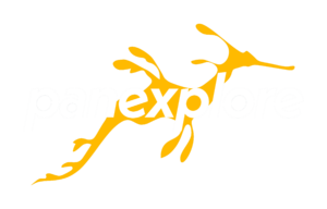 Pangaea Exploration