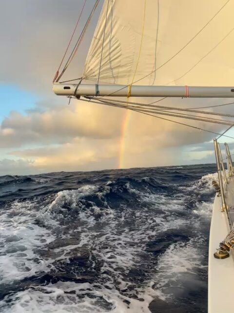 🌈🌈🌈 

@arc_rally @projectsealabs