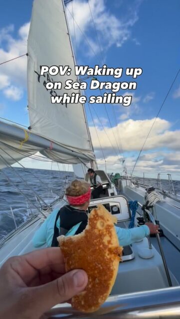 Day 4 sailing from Antigua to the Bahamas! 🇧🇸 

Sometimes on long passages it takes a few days to get used to life at sea, hand steering, and waking up for watches. But today the whole crew is awake at the same time, we had a beautiful sunrise, REAL coffee, and PANCAKES! 

#sailinglife #boatlife #lifeatsea #sailboat #oceanadventure