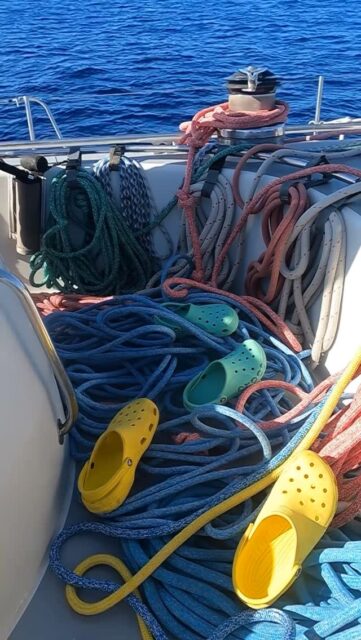 ITS A SNAKE PIT NOT A CROC PIT!! 🐊 🐍 🪢 

#sailinglife #adventuretravel #sailingadventure #raceboat #sailracing