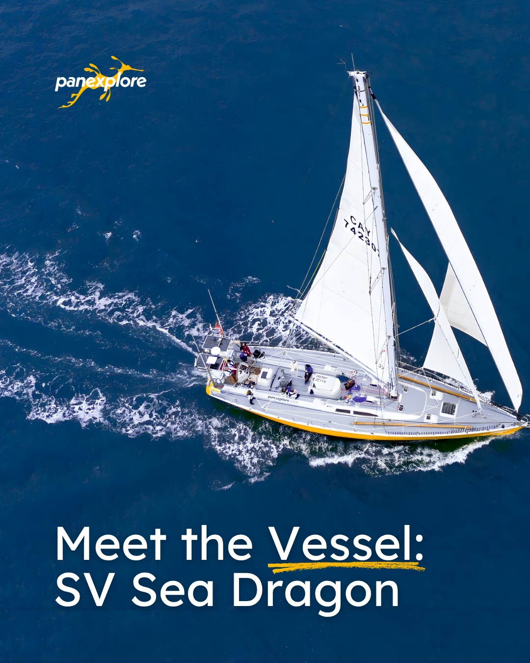 Every expedition starts with the right vessel. SV Sea Dragon is built for offshore sailing at a serious level, designed to cross oceans, handle changing conditions, and support life at sea for extended periods.

🔹 Built for Extreme Conditions: Originally created for the Global Challenge Race, one of the toughest ocean voyages, this 72ft steel vessel is designed to handle the harshest environments on the planet.

🔹 Ocean-Certified Safety: Rated Category 0 (All Oceans), the highest maritime standard, meaning it’s equipped and approved to sail anywhere in the world safely.

🔹 Made for Real Expedition Sailing: This isn’t a passive experience. The vessel is set up for hands-on participation, so even first-time sailors can actively be part of the crew.

🔹 Built for Long Offshore Journeys: With satellite communications, advanced navigation systems, renewable energy sources, and onboard water-making, it’s fully equipped for extended time at sea.

🔹 Small Crew, Real Experience: Up to 12 guest crew onboard means a more immersive, team-based experience where everyone plays a role.

🔹 Comfort Where It Matters: Sea berths, a full galley, shared living space, and essential facilities designed for life offshore, practical, functional, and built for the journey.

Life on Sea Dragon is simple, structured, and purposeful. It’s not about stepping away from the world for a while, it’s about stepping into something different and being part of how it works. ⛵🌊

#Panexplore #ExpeditionVehicle #SailingBoats #SailTheWorld #DreamTravel #SailingInstagram #SailTrip